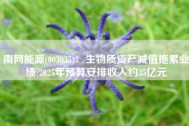 南网能源(003035)：生物质资产减值拖累业绩 2025年预算安排收入约35亿元