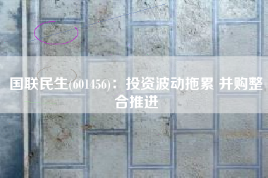 国联民生(601456)：投资波动拖累 并购整合推进