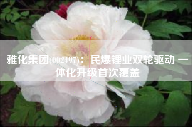 雅化集团(002497)：民爆锂业双轮驱动 一体化升级首次覆盖