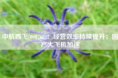中航西飞(000768)：经营效率持续提升；国产大飞机加速