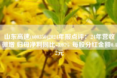 山东高速(600350)2024年报点评：24年营收微增 归母净利同比-3.07% 每股分红金额0.42元