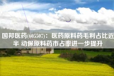 国邦医药(605507)：医药原料药毛利占比近半 动保原料药市占率进一步提升