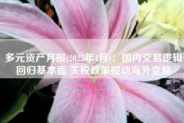 多元资产月报(2025年4月)：国内交易逻辑回归基本面 关税政策搅动海外变局