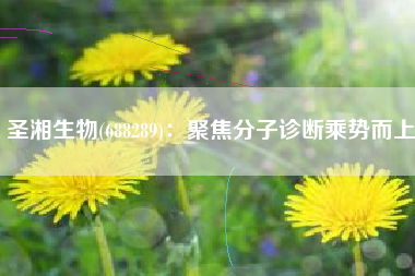 圣湘生物(688289)：聚焦分子诊断乘势而上