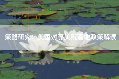 策略研究：美国对等关税落地政策解读
