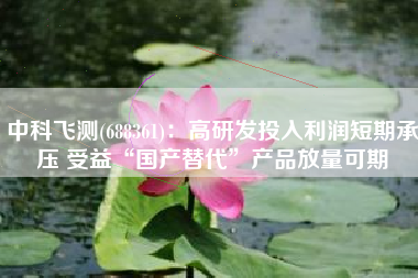 中科飞测(688361)：高研发投入利润短期承压 受益“国产替代”产品放量可期