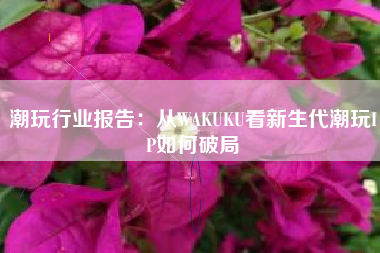 潮玩行业报告：从WAKUKU看新生代潮玩IP如何破局