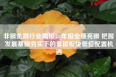 非银金融行业周报：年报业绩亮眼 把握发展基础夯实下的非银板块低位配置机遇
