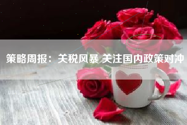 策略周报：关税风暴 关注国内政策对冲