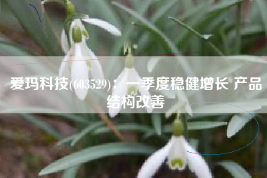 爱玛科技(603529)：一季度稳健增长 产品结构改善