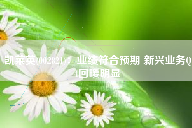 凯莱英(002821)：业绩符合预期 新兴业务Q4回暖明显