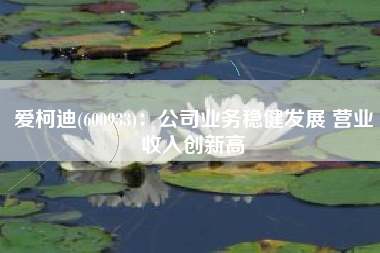 爱柯迪(600933)：公司业务稳健发展 营业收入创新高
