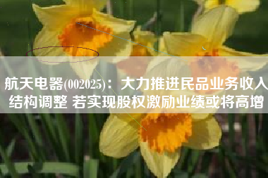 航天电器(002025)：大力推进民品业务收入结构调整 若实现股权激励业绩或将高增