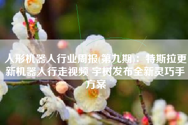 人形机器人行业周报(第九期)：特斯拉更新机器人行走视频 宇树发布全新灵巧手方案