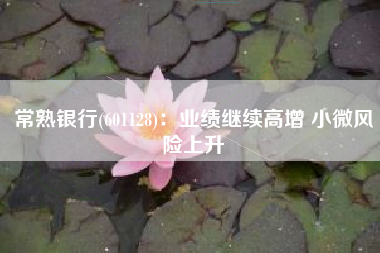 常熟银行(601128)：业绩继续高增 小微风险上升