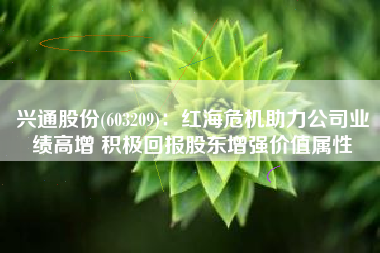 兴通股份(603209)：红海危机助力公司业绩高增 积极回报股东增强价值属性