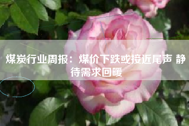 煤炭行业周报：煤价下跌或接近尾声 静待需求回暖
