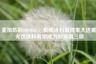 麦加芯彩(603062)：船舶涂料取得重大进展 光伏涂料有望成为利润第三极