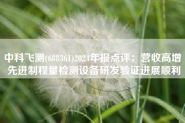 中科飞测(688361)2024年报点评：营收高增 先进制程量检测设备研发验证进展顺利