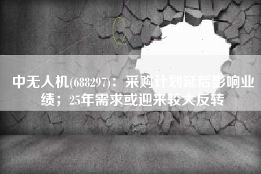中无人机(688297)：采购计划延后影响业绩；25年需求或迎来较大反转