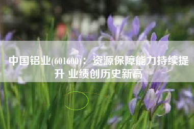 中国铝业(601600)：资源保障能力持续提升 业绩创历史新高