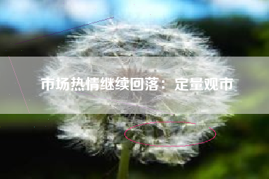 市场热情继续回落：定量观市