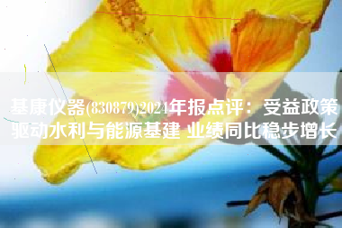基康仪器(830879)2024年报点评：受益政策驱动水利与能源基建 业绩同比稳步增长