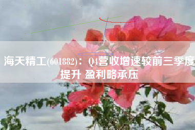 海天精工(601882)：Q4营收增速较前三季度提升 盈利略承压