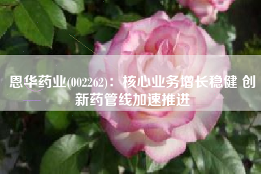 恩华药业(002262)：核心业务增长稳健 创新药管线加速推进