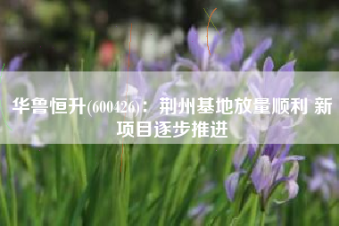 华鲁恒升(600426)：荆州基地放量顺利 新项目逐步推进
