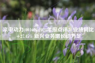 宗申动力(001696)2024年报点评：业绩同比+27.45% 新兴业务增长动力足