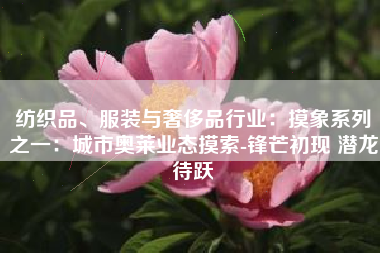 纺织品、服装与奢侈品行业：摸象系列之一：城市奥莱业态摸索-锋芒初现 潜龙待跃