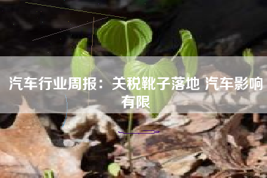 汽车行业周报：关税靴子落地 汽车影响有限