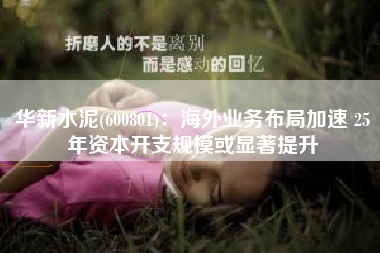华新水泥(600801)：海外业务布局加速 25年资本开支规模或显著提升