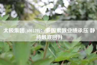 太极集团(600129)：多因素致业绩承压 静待触底回升