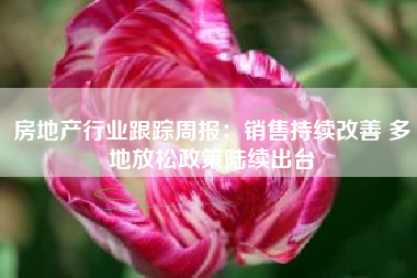 房地产行业跟踪周报：销售持续改善 多地放松政策陆续出台