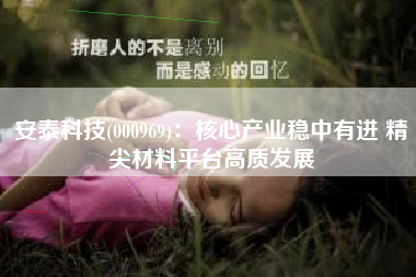 安泰科技(000969)：核心产业稳中有进 精尖材料平台高质发展