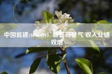 中国能建(601868)：新签高景气 收入业绩双增
