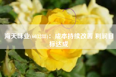 海天味业(603288)：成本持续改善 利润目标达成