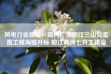风电行业周报：周内广东阳江三山岛柔直工程海缆开标 阳江青洲七开工建设
