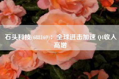 石头科技(688169)：全球进击加速 Q4收入高增