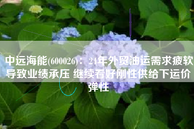 中远海能(600026)：24年外贸油运需求疲软导致业绩承压 继续看好刚性供给下运价弹性