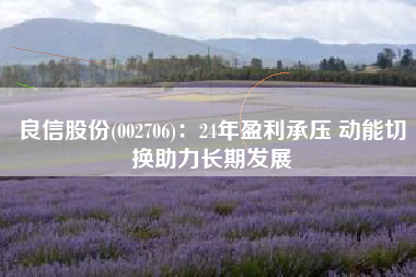 良信股份(002706)：24年盈利承压 动能切换助力长期发展