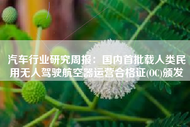 汽车行业研究周报：国内首批载人类民用无人驾驶航空器运营合格证(OC)颁发
