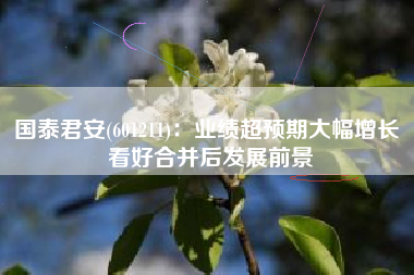 国泰君安(601211)：业绩超预期大幅增长 看好合并后发展前景
