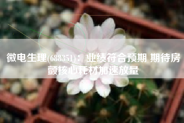 微电生理(688351)：业绩符合预期 期待房颤核心耗材加速放量