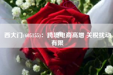西大门(605155)：跨境电商高增 关税扰动有限