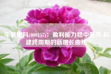 中联重科(000157)：盈利能力稳中有升 构建跨周期的新增长曲线