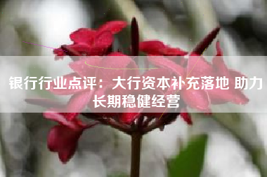 银行行业点评：大行资本补充落地 助力长期稳健经营