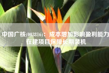 中国广核(003816)：成本增加影响盈利能力 在建项目保障长期装机